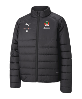 PUMA teamLIGA Padded Trainingsjacke Kids F03