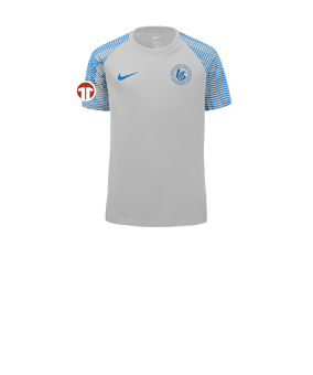 Nike Academy Trikot Kids Weiss Blau F102