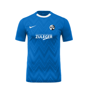 Nike Challenge V Trikot Blau Weiss F463