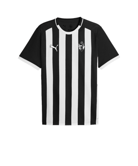 PUMA teamLIGA26 Striped Trikot Schwarz F03