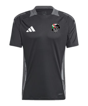 adidas Wolfsberger AC Trainingshirt Schwarz - schwarz