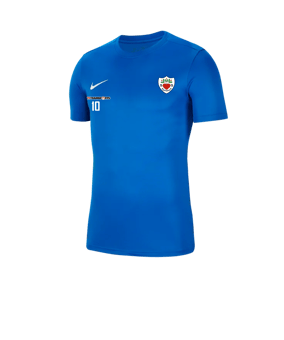 Nike Park VII Trikot kurzarm Blau F463