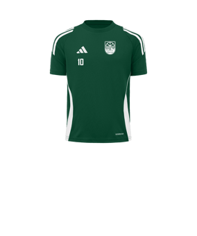 adidas Tiro 24 Trikot Kids Grün Weiss