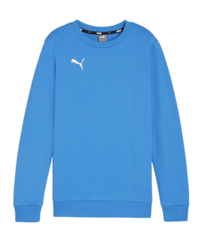 PUMA teamGOAL Casuals Sweatshirt Kids Blau F02 - blau