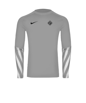 Nike Park V Torwarttrikot Langarm Grau F097