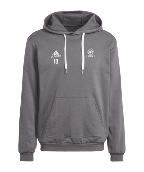 adidas Entrada 22 Hoody Grau