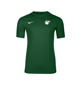 Nike Academy II Trikot Grün F302