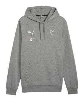 PUMA teamGOAL Casuals Hoody Grau F33