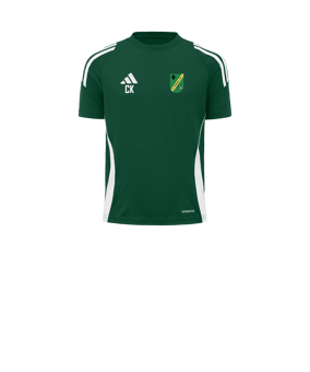 adidas Tiro 24 Trikot Kids Grün Weiss