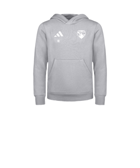 adidas Entrada 26 Sweatshirt à capuche Enfants Gris