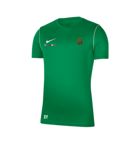 Nike Park 20 Training Shirt Grün F302