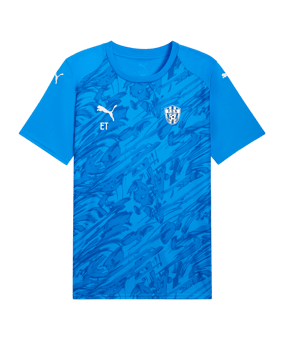 PUMA teamFINAL Graphic Trikot Blau F02