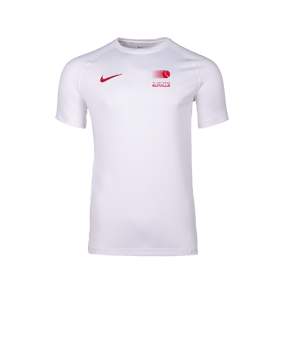 Nike Park VIII Trikot Weiß F103