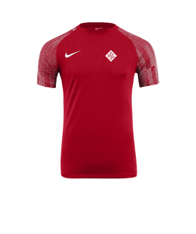 Nike Academy Trikot Rot Weiss F657