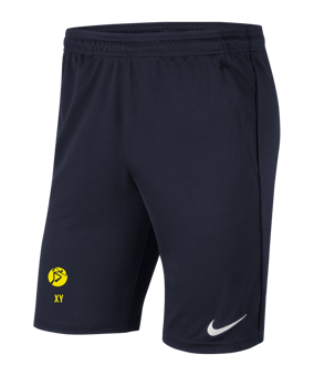 Nike Park 20 Knit Short Kids Blau Weiss F451