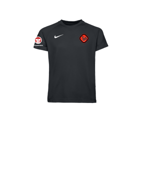 Nike Park VIII Trikot Set Kids Schwarz F010