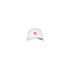 Merch 5 Panel Retro Trucker Cap Weiss | #logo4c