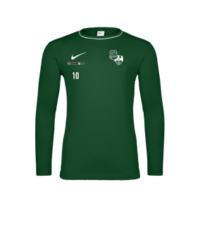 Nike Park 26 Longsleeve Grün F302