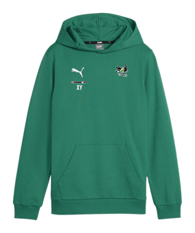 PUMA teamGOAL Casuals Hoody Kids Grün F05