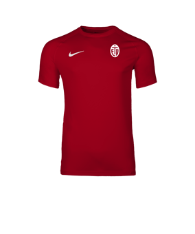 Nike Park VIII Trikot Rot F657