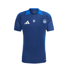 adidas Tiro 24 Competition Training Trikot Blau