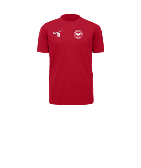 Nike Park VII Trikot kurzarm Kids Rot F657