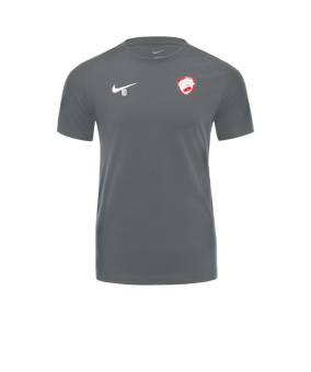 T-shirt Nike Park 20 Dry Gris blanc F071 