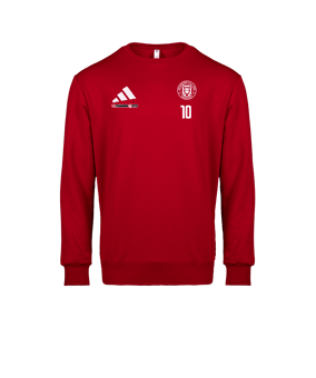 adidas Entrada 26 Sweatshirt Rot