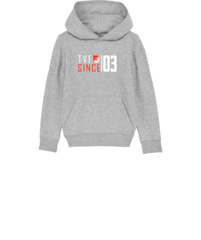 Merch Mini Cruiser 2.0 Hoody Kids H. Grey | #since