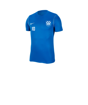 Nike Park 20 T-Shirt Kids Blau F463