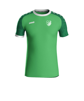 JAKO Iconic Trikot Kids Grün F222