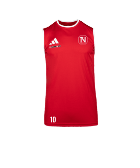 adidas Entrada 26 Sleeveless Trikot Weiß