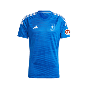 adidas Tiro 23 Competition Match Trikot Blau Weiss