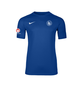 Nike Academy II Trikot Blau F463