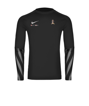 Nike Park V Trikot langarm Schwarz F010