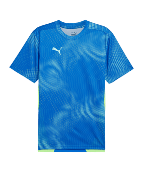 PUMA individualFINAL Trikot Blau F02 - blau