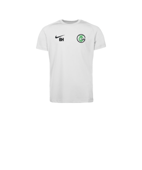 Nike Park VIII Trikot Kids Weiß F100