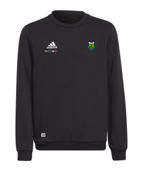 adidas Entrada 22 Sweatshirt Kids Schwarz