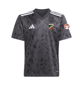 adidas Team Icon 25 Trikot Schwarz