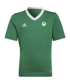 adidas Entrada 22 Trikot Kids Grün