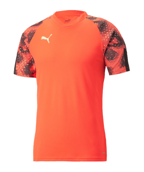 PUMA individualFINAL WC Trikot Blau F48 - blau