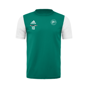 adidas Estro 19 Trikot kurzarm Grün Weiss