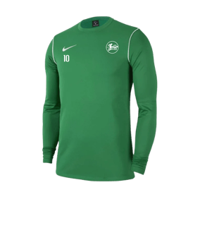 Nike Park 20 Sweatshirt Grün Weiss F302