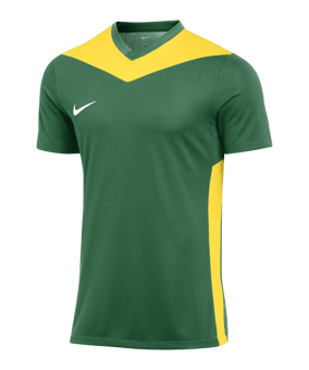 Nike Park Derby IV Trikot Grün Gelb F303 - gruen
