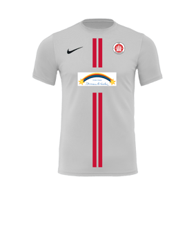 Nike Park VII Trikot kurzarm Weiss F100