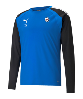 PUMA teamLIGA Trainig Sweatshirt Blau F02