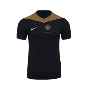 Nike Park Derby IV Trikot Schwarz Gold F011