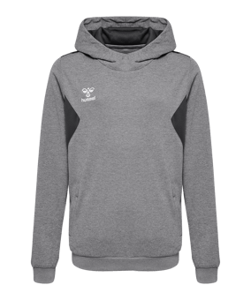 Hummel Authentic Pl Hoody Kids Grau F2006 - grau