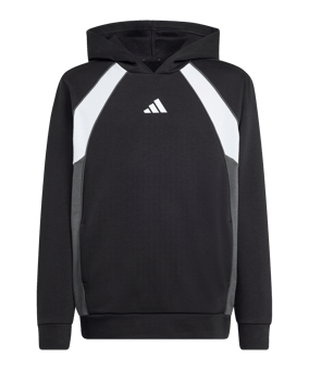 adidas Color Block Hoody Kids Schwarz - schwarz