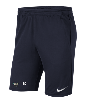 Nike Park 20 Knit Short Blau Weiss F451